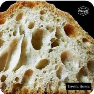 Pan de espelta blanca 100% espelta blanca